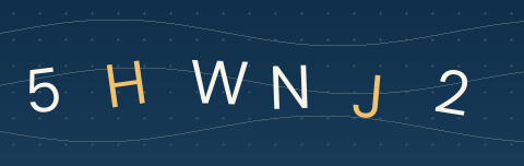CAPTCHA security code
